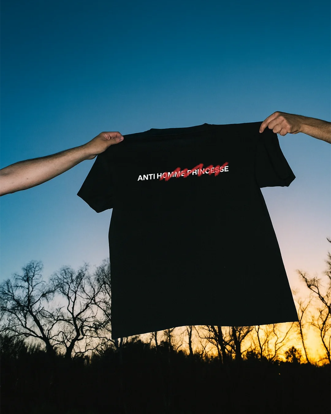t-shirt-anti-homme-princesse